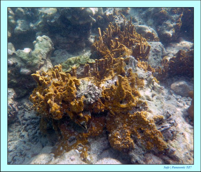 2011 - 03 - Koh Ngai 079